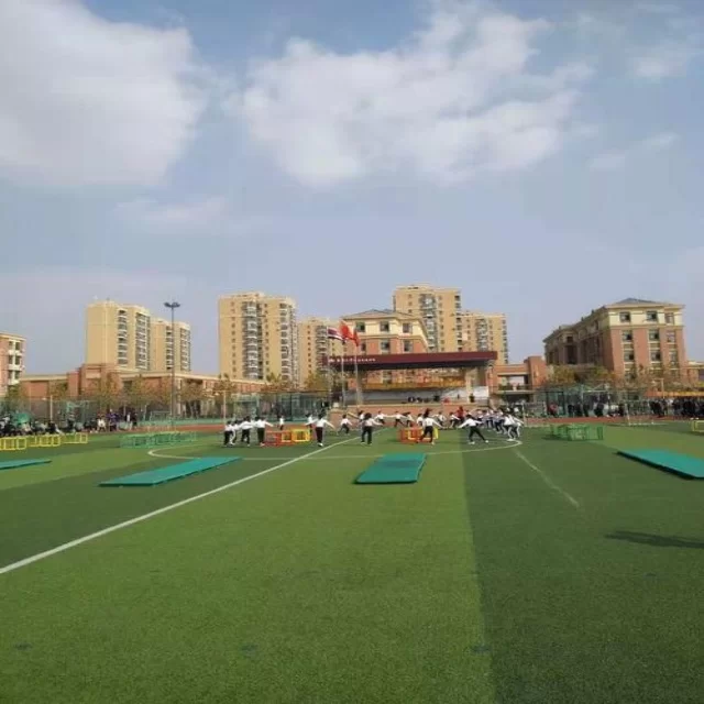 第369组国际赛场最新动态与赛程分析